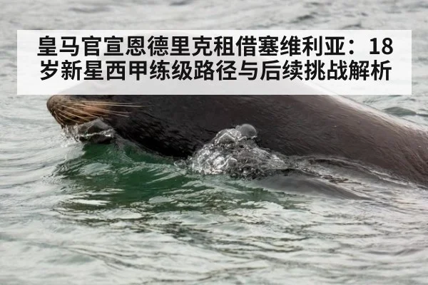 皇马官宣恩德里克租借塞维利亚:18岁新星西甲练级路径与后续挑战解析